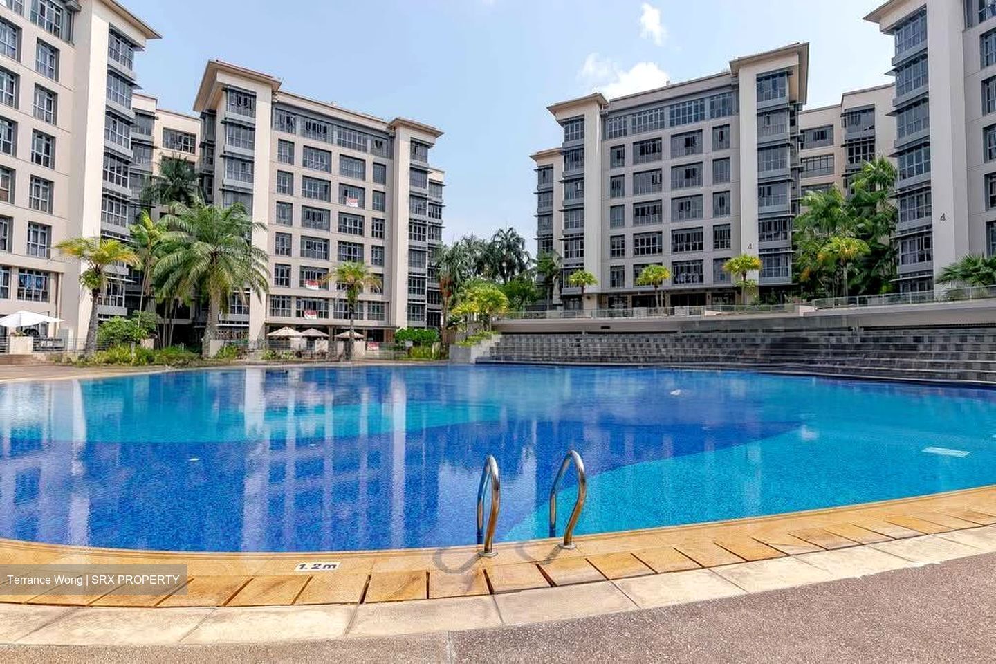 Carissa Park Condominium (D17), Condominium #603757361